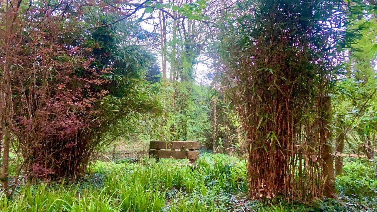 Lacken Millhouse And Gardens Bed & Breakfast *