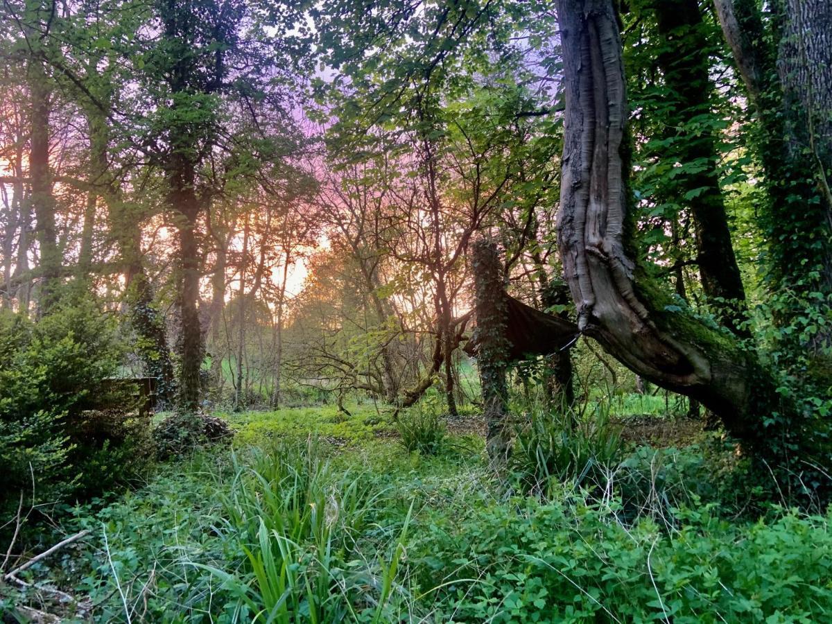 Bed & Breakfast Lacken Millhouse And Gardens Cavan